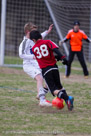 Pic #130302-039  •  1/2000 sec at f / 2.8  •  ISO 400  •  300 mm