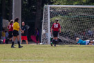 Pic #130527-098  •  1/2500 sec at f / 4.0  •  ISO 400  •  420 mm